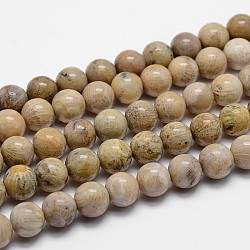 Natural Fossil Coral Beads Strands, Grade A, Round, 6mm, Hole: 1mm, about 67pcs/strand, 15.7 inch