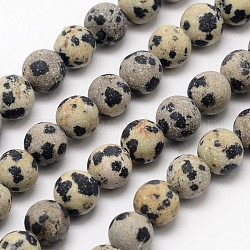 Chapelets de perles en jaspe dalmatien naturelle, mat, ronde, 8mm, Trou: 1mm, Environ 48 pcs/chapelet, 15.1 pouce