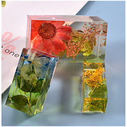 Moules en silicone remplis cuboïdes, pour époxy chargé, diorama, fleur séchée, artisanat de décoration de spécimen d'insecte, blanc, 25x45x22mm