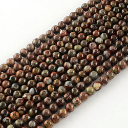 Runde natürliche Brekzien Jaspis Perlen Stränge, 6 mm, Bohrung: 1 mm, ca. 68 Stk. / Strang, 15.7 Zoll