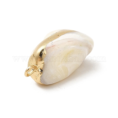 Подвески из натуральных ракушек trochus BSHE-E025-01LG-1