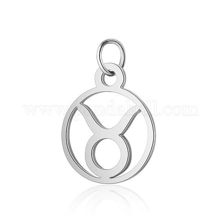 304 Stainless Steel Charms STAS-T036-T513-A2-1