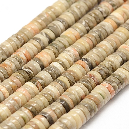 Fossiles naturelle perles de corail brins G-F481-06-6mm-1