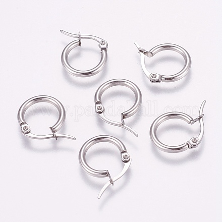 304 Stainless Steel Hoop Earrings STAS-K148-02P-A-1