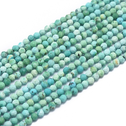 Chapelets de perles en turquoise de HuBei naturelle G-G792-38-1