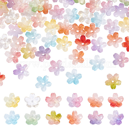 120 шт. 12-х цветные прозрачные бусины ручной работы в технике лэмпворк GLAA-PH0004-04-1