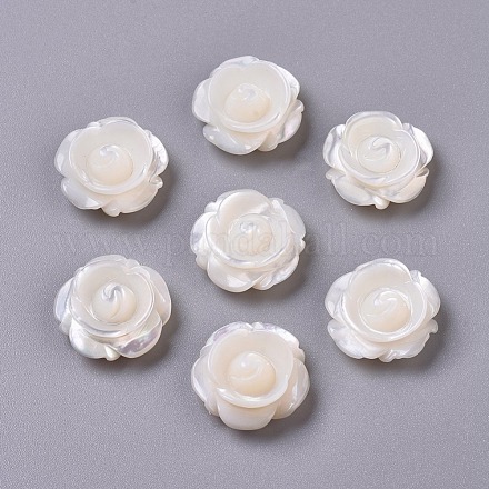 Perles de coquillage blanc naturel BSHE-L043-05-1