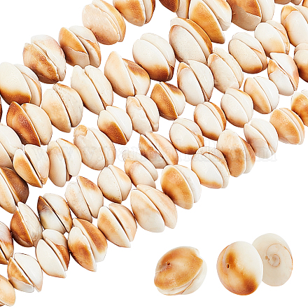 Brins pandahall elite 5 brins de perles de coquillage naturel SSHEL-PH0001-17-1