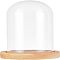 Transparent Glass Box, with Wood Pedestal Half Round, Clear, 11.3x16cm