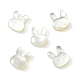 5pcs perles de coquillage blanc naturel BSHE-CJ0001-06-1