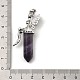 Natural Amethyst Pointed Pendants G-Z033-15P-04-3