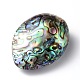 Perle ovali naturali di conchiglia di paua SSHEL-E562-01-2
