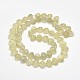 Frosted Electroplate Glass Shell Beads Strands EGLA-M002-B06-2