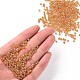 8/0 круглые бусины из стекла семян SEED-US0003-3mm-169-4