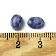 Natürliche blaue Fleck Jaspis Cabochons G-A094-01B-49-3