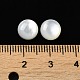 Cabuchones de conchas blancas naturales SSHEL-M022-01B-3