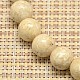 Natural Fossil Round Beads Strands G-I108-14mm-4