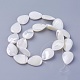 Chapelets de perles de coquillage SSHEL-E571-23D-2