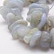Natural Blue Chalcedony Bead Strands G-E381-02-1