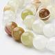 Natural Gemstone Beads Strands GSR10mmC008-2