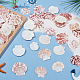 2 stile conchiglia naturale&nbsp;SSHEL-WR0001-06B-4