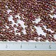 Perles rocailles miyuki rondes SEED-JP0008-RR2461-4