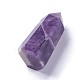 Natural Amethyst Pointed Beads G-F621-01-2