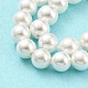 Brins de perles de coquillages naturels galvanisés SHEL-F008-03A-01-4