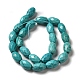 Natural Howlite Beads Strands G-C025-06-3
