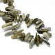 Natural Labradorite Stone Bead Strands G-R223-16-2
