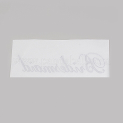 Hotfix Glas Strass&nbsp;LS-DIY-WH0224-98