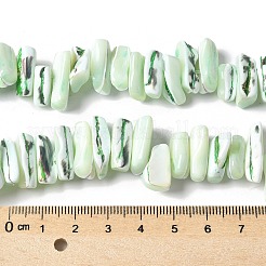 Окрашенные нити натуральных бусин-ракушек трохуса&nbsp;SSHEL-C013-09I