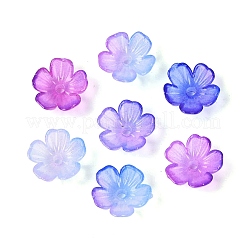 Capuchons de perles en plastique transparent&nbsp;KY-Q005-02A-05