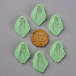 Прозрачные матовые акриловые подвески&nbsp;MACR-S371-03A-733