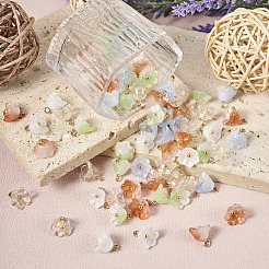 80шт 5 цвета подвески лэмпворк ручной работы FIND-TA0002-77