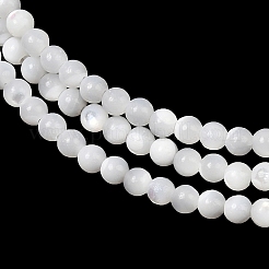 Нити бусин из натуральной белой ракушки G-A177-04-25