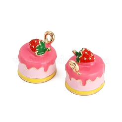 Charms del esmalte de la aleación&nbsp;AL-CBAC5EF-02G-03