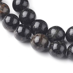 Природного биотита нитей бисера G-L528-06C