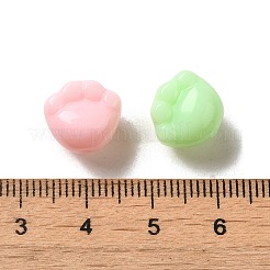 Непрозрачные акриловые бусины&nbsp;SACR-G038-01