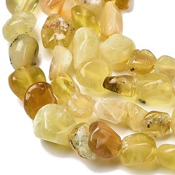 Природные желтые опал бусины пряди G-P601-A02-02
