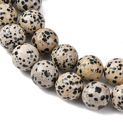 Природные яшмы далматин бисер нитей&nbsp;G-A310-A05-14mm