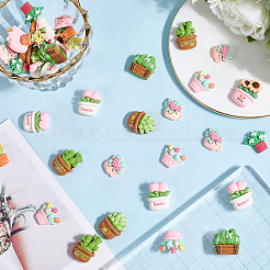 40шт 5 стиля непрозрачные кабошоны из смолы&nbsp;CRES-SC0003-17