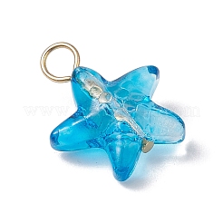 Морская звезда градиент цвета краска для выпечки прозрачные стеклянные подвески&nbsp;PALLOY-JF03265-01