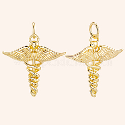 12шт латунные подвески&nbsp;KK-BBC0019-76