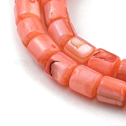 Нити бусин из натуральных пресноводных ракушек&nbsp;SHEL-F008-04F