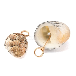 Pendentifs en coquille naturelle&nbsp;PALLOY-JF02953