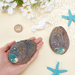 Украшение из натуральной раковины морского ушка&nbsp;LS-FIND-WH0817-038A