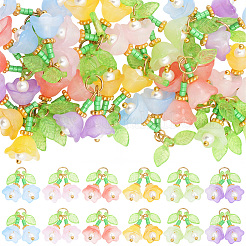 30шт 6 цвета прозрачные стеклянные подвески&nbsp;FIND-SC0019-73