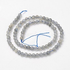 Природные лабрадорита бисер нитей G-F362-08-5mm