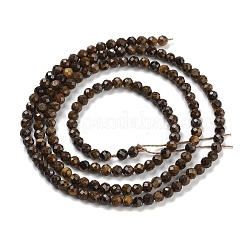 Природных тигровый глаз бисер нитей G-M399-03A-01